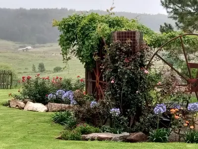 a garden with flowers and plants in a field at Rocks & Roses Farm stay in Lochiel