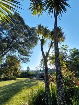 two palm trees in front of a road at De Mist Graskop in Graskop