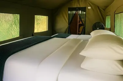 a bed with white pillows in a tent at Masingitana Tented Camp in Hoedspruit