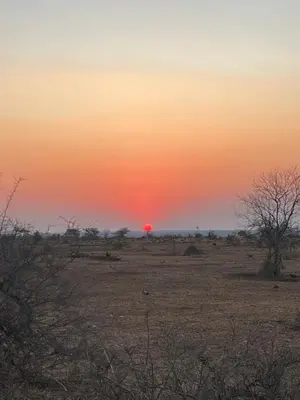 a sunset in the desert with the sun setting at Masingitana Tented Camp in Hoedspruit