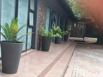 a row of potted plants sitting outside of a building at 8 Soenie Avenue Self-Catering in Pretoria