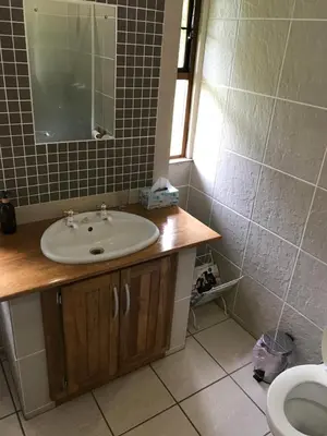 a bathroom with a sink and a toilet at Featherbrook Cottage in Tzaneen