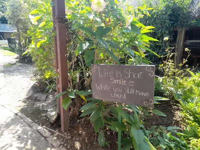 a sign in front of a bush with a plant at 1322 Backpackers International in Pretoria