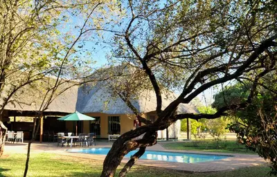 a tree with an umbrella next to a swimming pool at Komati River Chalets in Komatipoort