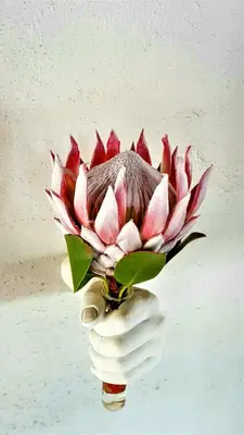 a vase with a bunch of pink flowers in it at Graceland Eco Retreat in Magoebaskloof