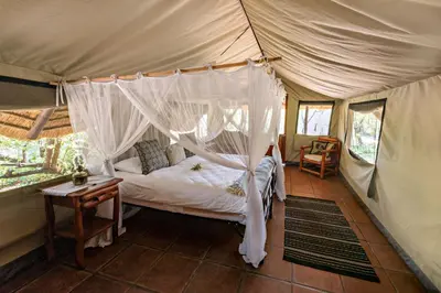 a bedroom with a bed in a tent at Pungwe Safari Camp in Manyeleti Game Reserve