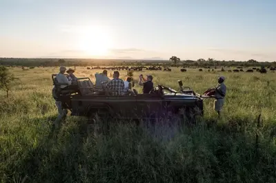 a group of people standing around a jeep in a field at Pungwe Safari Camp in Manyeleti Game Reserve
