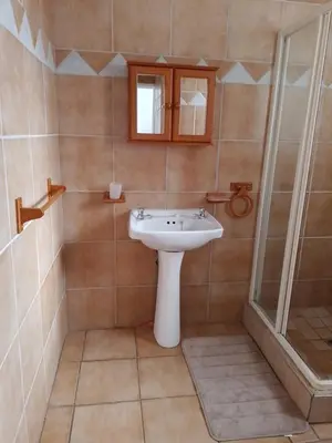 a bathroom with a sink and a shower at Anna Boeremeisie Guesthouse in Benoni