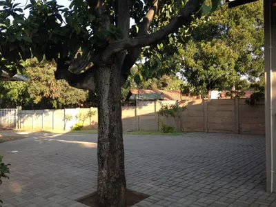 a tree in the middle of a brick courtyard at Impala Chalets in Phalaborwa