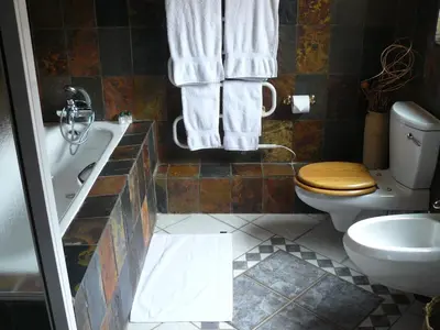 a bathroom with a tub and a toilet and a sink at Crocodile Lodge cc in Midrand