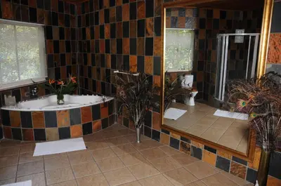 a bathroom with a tub and a shower with plants at Crocodile Lodge cc in Midrand