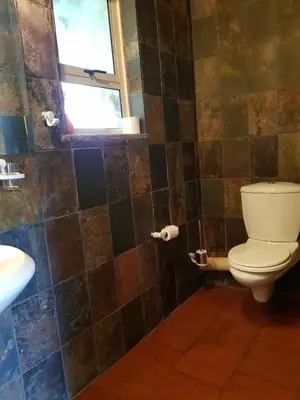 a bathroom with a toilet and a window at Crocodile Lodge cc in Midrand
