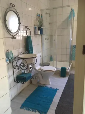 a bathroom with a toilet and a sink and a mirror at Sunninghill Sojourn in Kyalami