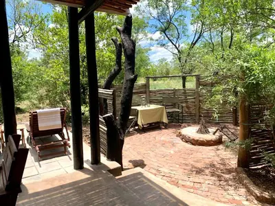 a patio with a table and a tree at iKhaya LamaDube Game Lodge in Klipdrift