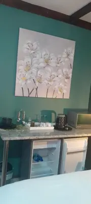 a painting of flowers on the wall of a kitchen at Paul & Mollie's Guest House in Brits