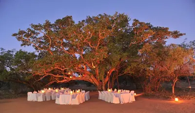 a group of tables with candles in front of a tree at Mabula Game Lodge in Mabula