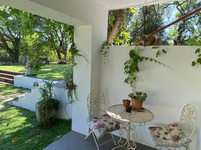 a patio with a table and chairs and a cat on a wall at The Aloes in Nelspruit