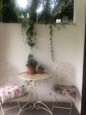 two chairs and a table with plants on a wall at The Aloes in Nelspruit