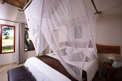 a bedroom with a bed with a mosquito net at Sangasava Safari Lodge in Balule Game Reserve