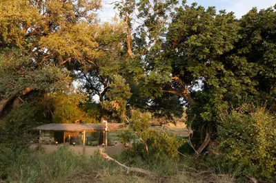 a house in the middle of some trees at Sangasava Safari Lodge in Balule Game Reserve