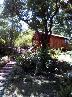 a red cabin with a tree in front of it at Pumba's Lookout in Barberton