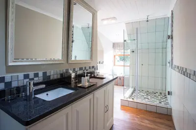 a bathroom with a sink and a shower at The Browns' Luxury Suites & Cottage in Dullstroom