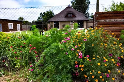 a garden with colorful flowers in front of a house at Inyameko BnB in Centurion