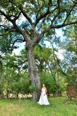 a woman in a wedding dress standing next to a tree at Imbali Safari Lodge in Mluwati Concession