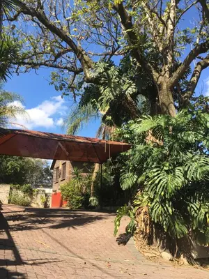 a tree in front of a building with a roof at Old Vic Travellers Inn Nelspruit in Nelspruit