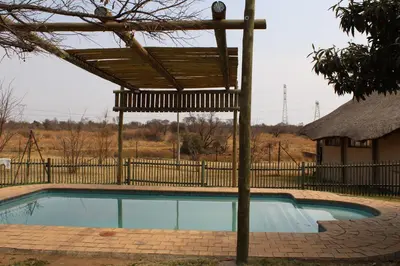 a swimming pool with a wooden roof on top of it at Honey Lodge in Klipdrift