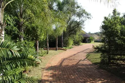 a brick road with trees and a house in the background at Honey Lodge in Klipdrift