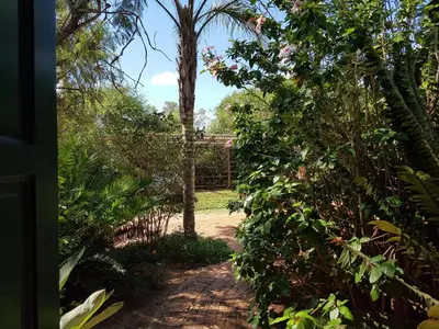 a path through a garden with a palm tree at Honey Lodge in Klipdrift