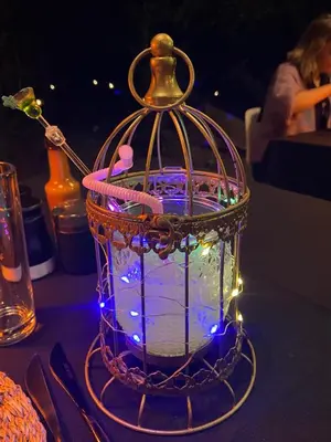 a bird cage with lights on a table at Lindiwe Safari Lodge in Hoedspruit