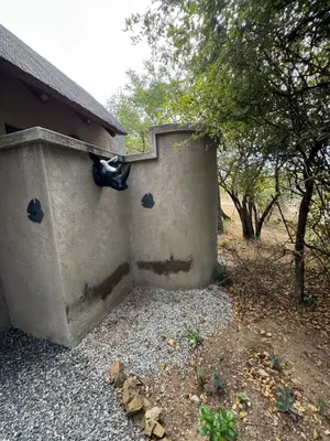 a dog sitting on the side of a house at Lindiwe Safari Lodge in Hoedspruit