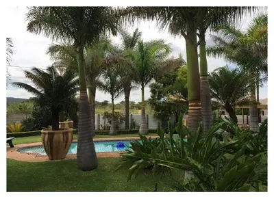 a group of palm trees and a swimming pool at Lala Bela Guest House in Bela-Bela