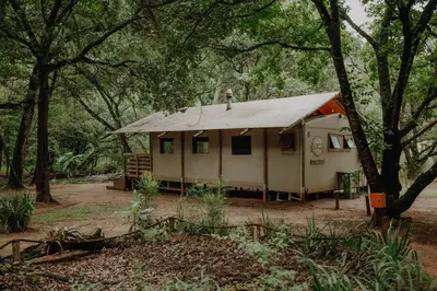 a small house with a tin roof in a forest at AfriCamps at Mackers in Hazyview