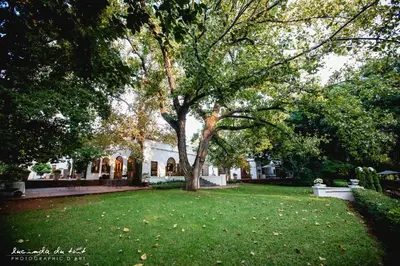 a large tree in the yard of a house at Kleinkaap Boutique Hotel in Centurion