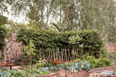 a garden with many plants and a fence at Kleinkaap Boutique Hotel in Centurion