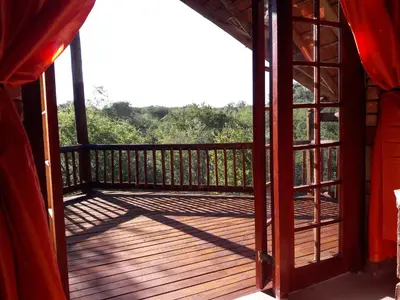 an open door to a deck with trees in the background at Little Bush Baby in Marloth Park