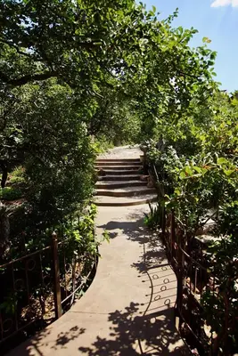 a garden path with trees and a fence at Leopards Rock Bush Boutique in Bela-Bela