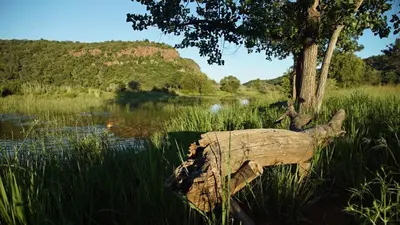 a tree stump in the grass next to a body of water at Leopards Rock Bush Boutique in Bela-Bela