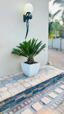 a plant in a white pot next to a light at Sunrise Boutique Hotel in Witbank