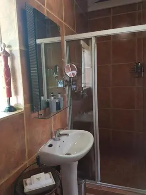 a bathroom with a sink and a shower at Chateau Vue Guesthouse in Pretoria
