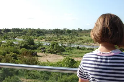 a young boy looking out at elephants in a field at Tamboti River Lodge in Hectorspruit