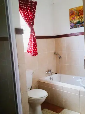 a bathroom with a toilet and a bath tub and a window at Dullstroom on the Dam in Dullstroom