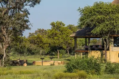 a gazebo in the middle of a field at LookOut Safari Lodge in Klipdrift