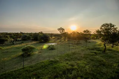 a fence in a field with the sunset in the background at LookOut Safari Lodge in Klipdrift