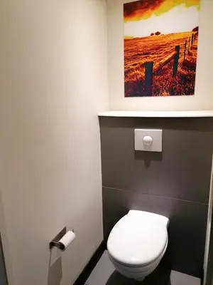 a bathroom with a toilet and a painting on the wall at SUN1 WITBANK in Witbank