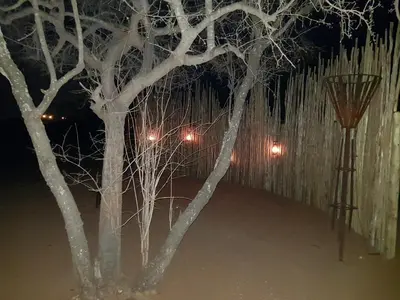 two trees and a light pole at night at Cottage Lenise in Phalaborwa