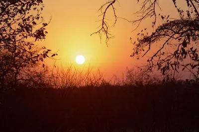 a sunset with the sun in the horizon at Cottage Lenise in Phalaborwa